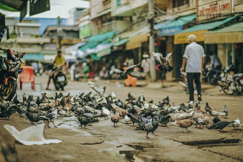 Lạc lối ở thiên đường ẩm thực chợ Châu Đốc - Ảnh 10. Lạc lối ở thiên đường ẩm thực chợ Châu Đốc - Ảnh 10.