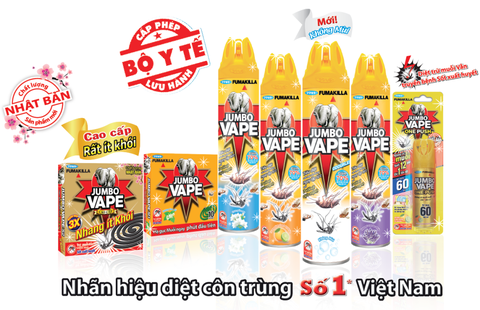 10 năm chung tay phòng chống sốt xuất huyết - Ảnh 4. 10 năm chung tay phòng chống sốt xuất huyết - Ảnh 4.