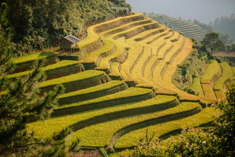 Tháng 9 lên Mù Cang Chải ngắm mùa vàng chảy tràn trên triền núi - Ảnh 11. Tháng 9 lên Mù Cang Chải ngắm mùa vàng chảy tràn trên triền núi - Ảnh 11.