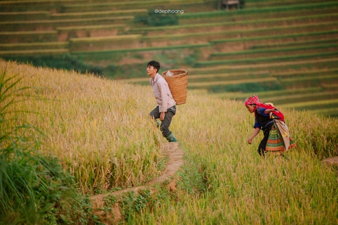 Tháng 9 lên Mù Cang Chải ngắm mùa vàng chảy tràn trên triền núi - Ảnh 12. Tháng 9 lên Mù Cang Chải ngắm mùa vàng chảy tràn trên triền núi - Ảnh 12.