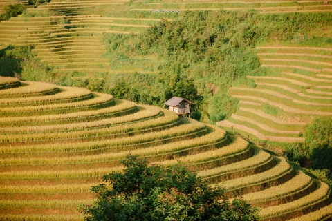 Tháng 9 lên Mù Cang Chải ngắm mùa vàng chảy tràn trên triền núi - Ảnh 9. Tháng 9 lên Mù Cang Chải ngắm mùa vàng chảy tràn trên triền núi - Ảnh 9.