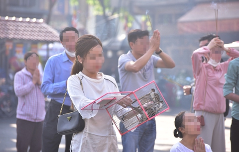 Phóng sinh không đúng cách là sát sinh - Ảnh 1. Phóng sinh không đúng cách là sát sinh - Ảnh 1.