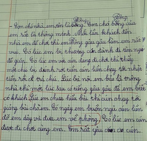 Bài văn tả cún cưng biết nhặt tiền, giảng bài, đỡ chủ dậy khiến dân mạng... lú luôn! - Ảnh 1. Bài văn tả cún cưng biết nhặt tiền, giảng bài, đỡ chủ dậy khiến dân mạng... lú luôn! - Ảnh 1.
