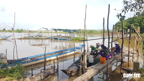 Nước lũ tràn đồng, người dân vùng biên tất bật đánh bắt cá - Ảnh 5. Nước lũ tràn đồng, người dân vùng biên tất bật đánh bắt cá - Ảnh 5.