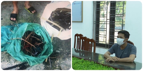 Nhân viên điện lực ‘sa lưới’ sau 28 lần trộm cắp cáp điện - Ảnh 1. Nhân viên điện lực ‘sa lưới’ sau 28 lần trộm cắp cáp điện - Ảnh 1.