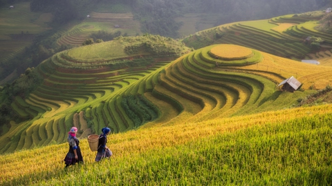 Đón mùa thu ở 3 miền Bắc, Trung, Nam với những điểm đến không thể bỏ lỡ - Ảnh 1. Đón mùa thu ở 3 miền Bắc, Trung, Nam với những điểm đến không thể bỏ lỡ - Ảnh 1.