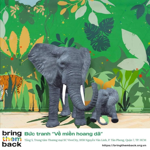Xem - nghe cuối tháng 8: Lâm Vỹ Dạ, Mạc Văn Khoa, Puka, Tuấn Dũng đến với Cuộc hẹn cuối tuần - Ảnh 6. Xem - nghe cuối tháng 8: Lâm Vỹ Dạ, Mạc Văn Khoa, Puka, Tuấn Dũng đến với Cuộc hẹn cuối tuần - Ảnh 6.