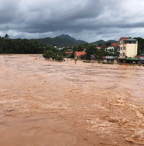 Hải Dương tập trung ‘cứu’ hơn 3.300ha lúa, hoa màu bị ngập úng vì bão số 3 - Ảnh 3. Hải Dương tập trung ‘cứu’ hơn 3.300ha lúa, hoa màu bị ngập úng vì bão số 3 - Ảnh 3.