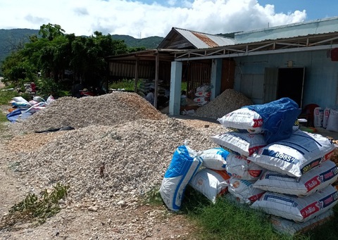 Lâm tặc dưới đáy đại dương - Ảnh 4. Lâm tặc dưới đáy đại dương - Ảnh 4.