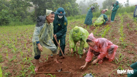Cánh rừng Nguyễn Huy Thiệp ở bản Hua Tát - Ảnh 1. Cánh rừng Nguyễn Huy Thiệp ở bản Hua Tát - Ảnh 1.