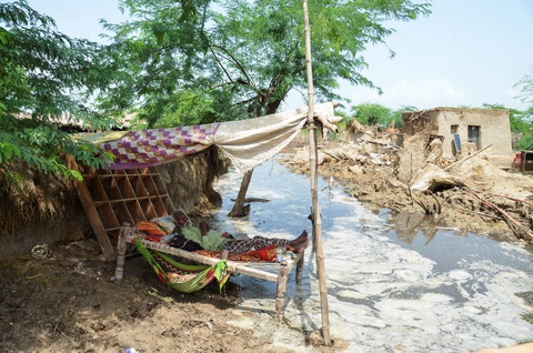 Hai tháng, hơn 1.000 người chết ở Pakistan vì thảm họa khí hậu - Ảnh 4. Hai tháng, hơn 1.000 người chết ở Pakistan vì thảm họa khí hậu - Ảnh 4.