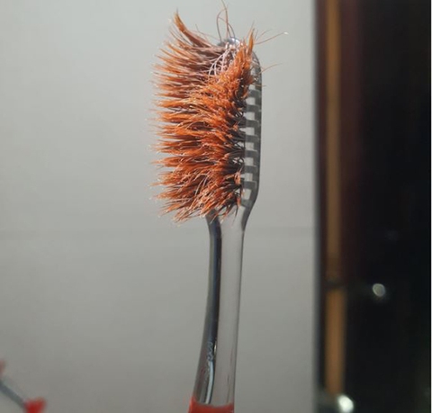 Ảnh vui 29-8: Sen chơi khô máu với boss khi thi tập thể dục - Ảnh 2. Ảnh vui 29-8: Sen chơi khô máu với boss khi thi tập thể dục - Ảnh 2.