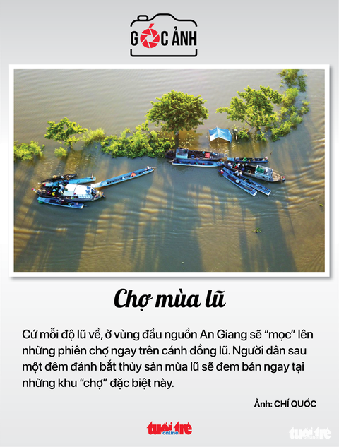 Tin sáng 29-8: Giá cà phê lập đỉnh; Xử nghiêm trốn thuế bất động sản - Ảnh 7. Tin sáng 29-8: Giá cà phê lập đỉnh; Xử nghiêm trốn thuế bất động sản - Ảnh 7.