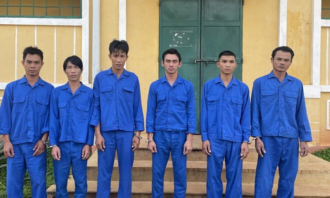 Thuê xe tải đi trộm mèo từ Đắk Nông đưa về Bình Thuận tiêu thụ - Ảnh 1. Thuê xe tải đi trộm mèo từ Đắk Nông đưa về Bình Thuận tiêu thụ - Ảnh 1.