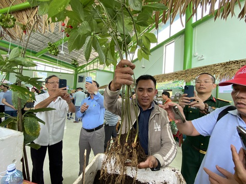 Phiên chợ sâm thu về gần 10 tỉ đồng từ việc bán sâm Ngọc Linh - Ảnh 1. Phiên chợ sâm thu về gần 10 tỉ đồng từ việc bán sâm Ngọc Linh - Ảnh 1.