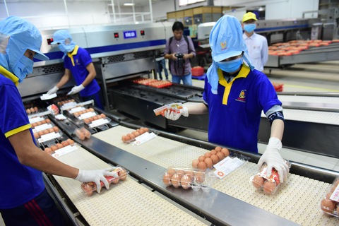 Xăng giảm giá liên tục, hàng hóa im ru - Ảnh 4. Xăng giảm giá liên tục, hàng hóa im ru - Ảnh 4.