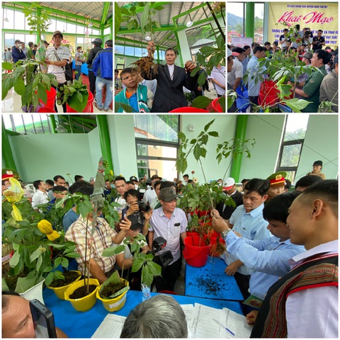 Rong chơi ở lễ hội sâm Ngọc Linh - Ảnh 3. Rong chơi ở lễ hội sâm Ngọc Linh - Ảnh 3.