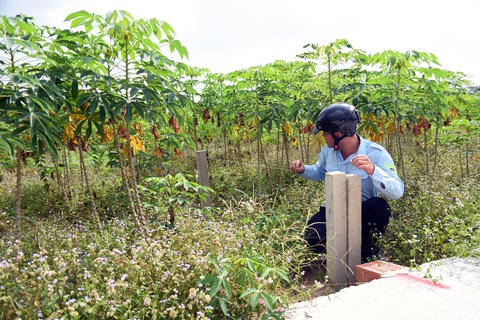 Muốn tách thửa đất nông nghiệp ở nông thôn Đồng Nai phải ít nhất 2.000m2 - Ảnh 1. Muốn tách thửa đất nông nghiệp ở nông thôn Đồng Nai phải ít nhất 2.000m2 - Ảnh 1.