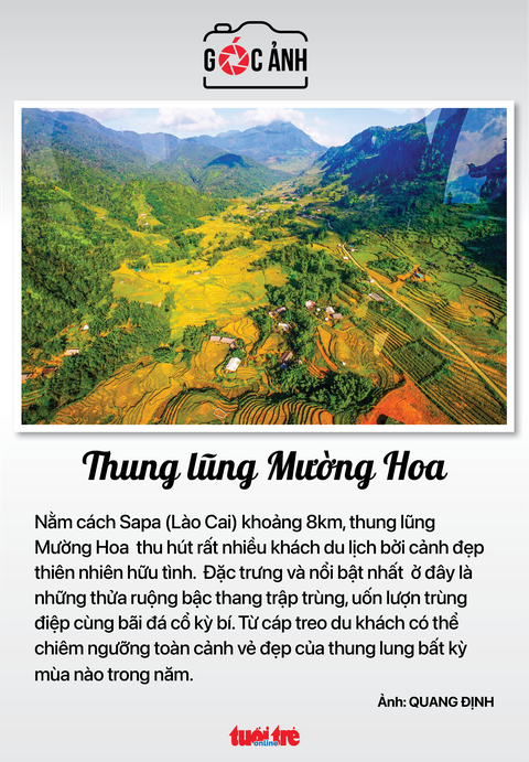 Tin sáng 31-8: Trước lễ 2-9 giá rau tăng, giá hoa giảm; thời tiết thuận lợi, đề phòng mưa dông - Ảnh 8. Tin sáng 31-8: Trước lễ 2-9 giá rau tăng, giá hoa giảm; thời tiết thuận lợi, đề phòng mưa dông - Ảnh 8.