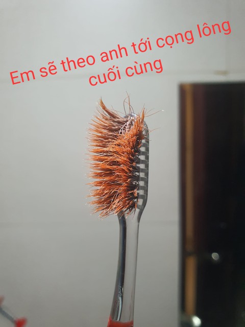 Ảnh vui 31-8: Biệt thự của Việt kiều Mỹ khiến dân mạng ngạc nhiên - Ảnh 6. Ảnh vui 31-8: Biệt thự của Việt kiều Mỹ khiến dân mạng ngạc nhiên - Ảnh 6.