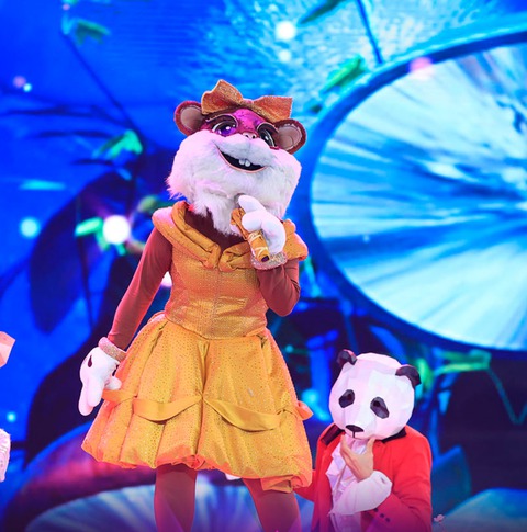 Loạt mascot hóa thân cầu kỳ gây sốt ở Ca sĩ mặt nạ phiên bản Việt - Ảnh 13.