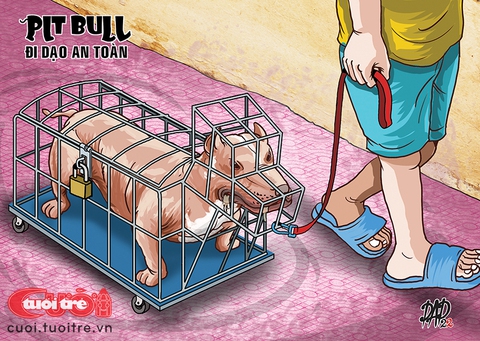 Trang bị an toàn cho pitbull - Ảnh 2. Trang bị an toàn cho pitbull - Ảnh 2.