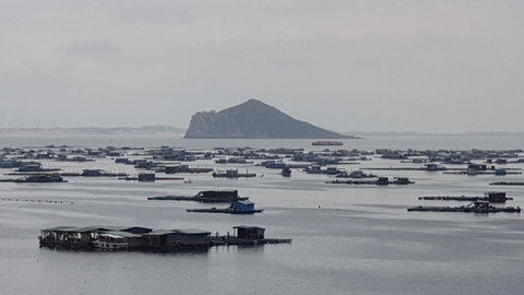 Nhà bè, kiôt du lịch đe dọa di tích Tàu không số Vũng Rô - Ảnh 1. Nhà bè, kiôt du lịch đe dọa di tích Tàu không số Vũng Rô - Ảnh 1.