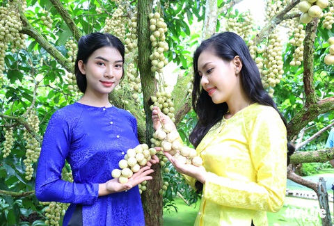 Về Cần Thơ, khó nhịn thèm món gà um dâu Hạ Châu ngọt lịm - Ảnh 2. Về Cần Thơ, khó nhịn thèm món gà um dâu Hạ Châu ngọt lịm - Ảnh 2.