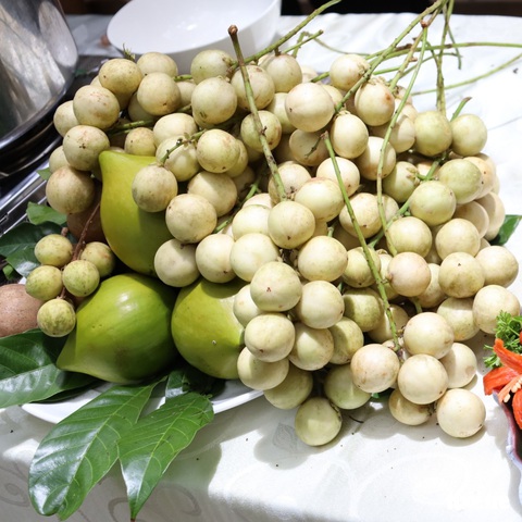 Về Cần Thơ, khó nhịn thèm món gà um dâu Hạ Châu ngọt lịm - Ảnh 3. Về Cần Thơ, khó nhịn thèm món gà um dâu Hạ Châu ngọt lịm - Ảnh 3.