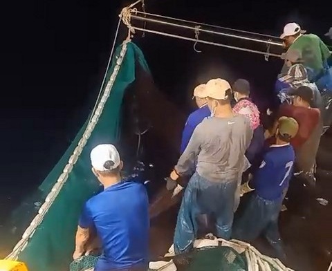 Ngư dân Quảng Bình trúng mẻ cá nục gần 250 tấn - Ảnh 1. Ngư dân Quảng Bình trúng mẻ cá nục gần 250 tấn - Ảnh 1.