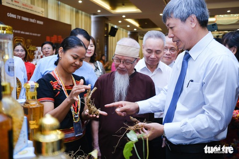 Quốc bảo sâm Ngọc Linh - giấc mơ tỉ đô - Ảnh 1. Quốc bảo sâm Ngọc Linh - giấc mơ tỉ đô - Ảnh 1.