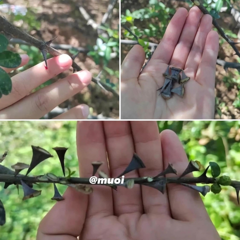 Ảnh vui 8-8: Hãng xe không sợ vợ này lạ lắm à nghen! - Ảnh 3. Ảnh vui 8-8: Hãng xe không sợ vợ này lạ lắm à nghen! - Ảnh 3.