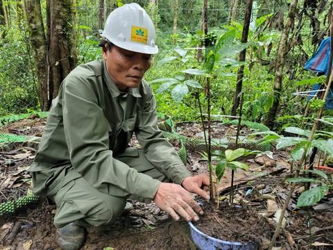 Hợp tác xã cộng đồng đầu tiên do người dân tộc thiểu số làm hội đồng quản trị - Ảnh 1. Hợp tác xã cộng đồng đầu tiên do người dân tộc thiểu số làm hội đồng quản trị - Ảnh 1.