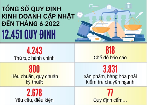 Rừng quy định vẫn vây doanh nghiệp - Ảnh 4. Rừng quy định vẫn vây doanh nghiệp - Ảnh 4.