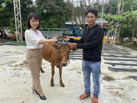 Bà con Cơ Tu, Tà Riềng nhận bò giống từ chương trình sinh kế hậu COVID-19, thiên tai - Ảnh 2. Bà con Cơ Tu, Tà Riềng nhận bò giống từ chương trình sinh kế hậu COVID-19, thiên tai - Ảnh 2.