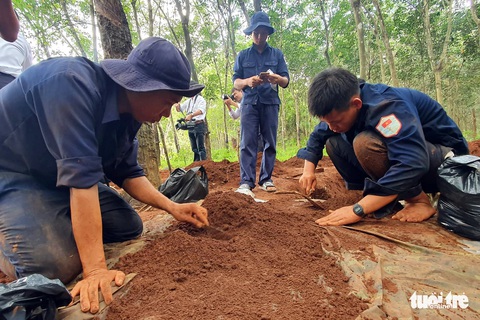 Bình Phước cất bốc 24 bộ hài cốt liệt sĩ trong vườn cao su - Ảnh 2. Bình Phước cất bốc 24 bộ hài cốt liệt sĩ trong vườn cao su - Ảnh 2.