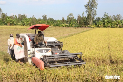 Miền Tây: Đau đầu tìm mua xăng dầu - Ảnh 1. Miền Tây: Đau đầu tìm mua xăng dầu - Ảnh 1.
