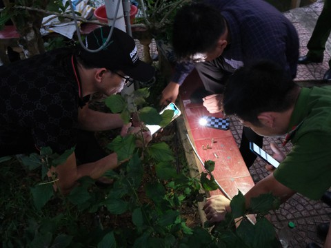 Khởi tố hai giám đốc doanh nghiệp tàng trữ vũ khí quân dụng - Ảnh 1. Khởi tố hai giám đốc doanh nghiệp tàng trữ vũ khí quân dụng - Ảnh 1.