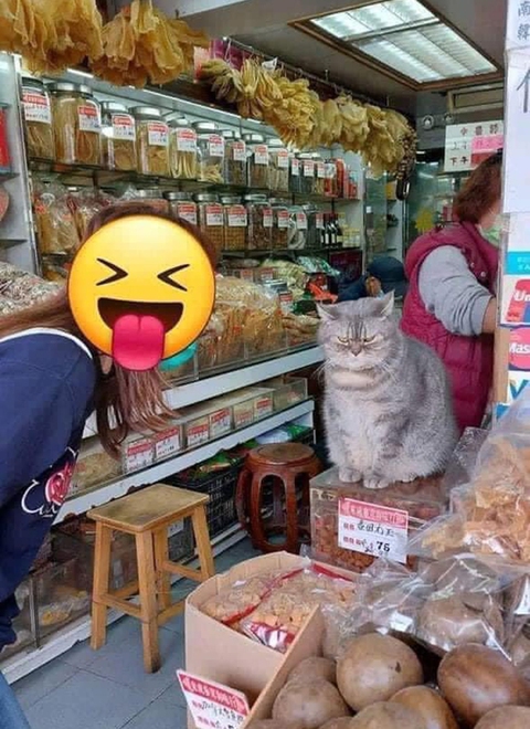 Ảnh vui 11-9: Lúc mới yêu thật vui biết bao nhiêu - Ảnh 5. Ảnh vui 11-9: Lúc mới yêu thật vui biết bao nhiêu - Ảnh 5.