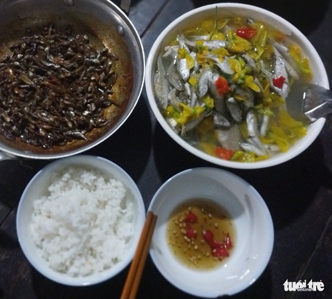 Nước nổi, chỉ với cá linh, bà con miền Tây có canh chua, lẩu mắm, kho lạt, kho tiêu, chiên bột… - Ảnh 2. Nước nổi, chỉ với cá linh, bà con miền Tây có canh chua, lẩu mắm, kho lạt, kho tiêu, chiên bột… - Ảnh 2.