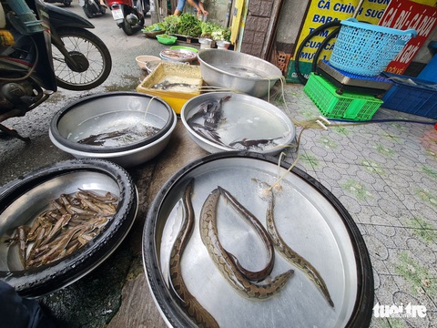 Sản vật mùa nước nổi về phố - Ảnh 2. Sản vật mùa nước nổi về phố - Ảnh 2.