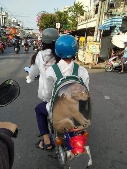Ảnh vui 14-9: Cậu bé dành cả thanh xuân để trông... người lớn - Ảnh 7. Ảnh vui 14-9: Cậu bé dành cả thanh xuân để trông... người lớn - Ảnh 7.