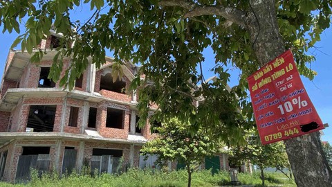 Tôi đi làm cò đất - Kỳ 6: Người người, nhà nhà làm cò - Ảnh 1. Tôi đi làm cò đất - Kỳ 6: Người người, nhà nhà làm cò - Ảnh 1.