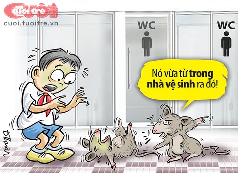 Học sinh bí đầu ra ở trường học - Ảnh 1. Học sinh bí đầu ra ở trường học - Ảnh 1.