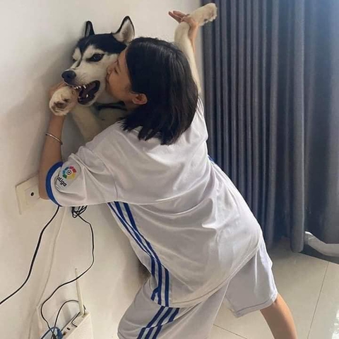Ảnh vui 17-9: Chú mèo chảy nước mắt khi xin ăn - Ảnh 2. Ảnh vui 17-9: Chú mèo chảy nước mắt khi xin ăn - Ảnh 2.