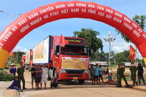 Xuất 20 công sầu riêng đầu tiên sang Trung Quốc theo đường chính ngạch - Ảnh 1. Xuất 20 công sầu riêng đầu tiên sang Trung Quốc theo đường chính ngạch - Ảnh 1.