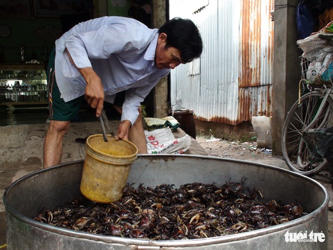 Làng lọp thu hoạch nửa tấn cua đồng mỗi ngày trong mùa nước nổi - Ảnh 3. Làng lọp thu hoạch nửa tấn cua đồng mỗi ngày trong mùa nước nổi - Ảnh 3.