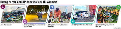 Phanh phui rau VietGAP dỏm: Rau sạch dỏm biến hình vào Winmart, Tiki ngon - Ảnh 4. Phanh phui rau VietGAP dỏm: Rau sạch dỏm biến hình vào Winmart, Tiki ngon - Ảnh 4.