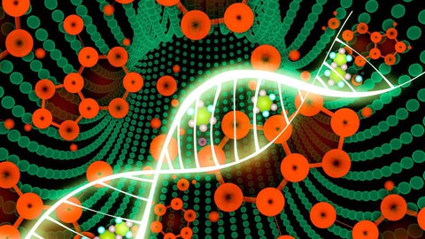 Mỹ phê duyệt liệu pháp gene sinh học Skysona điều trị rối loạn thần kinh hiếm gặp - Ảnh 1. Mỹ phê duyệt liệu pháp gene sinh học Skysona điều trị rối loạn thần kinh hiếm gặp - Ảnh 1.