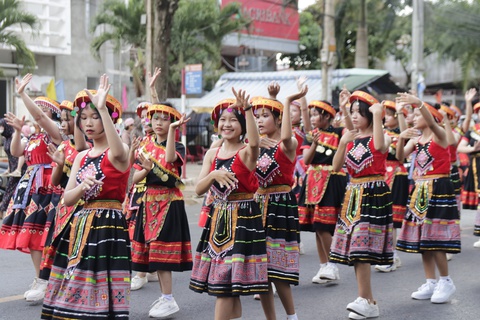 Voi chở sầu riêng diễu hành trên Đắk Lắk - Ảnh 6. Voi chở sầu riêng diễu hành trên Đắk Lắk - Ảnh 6.